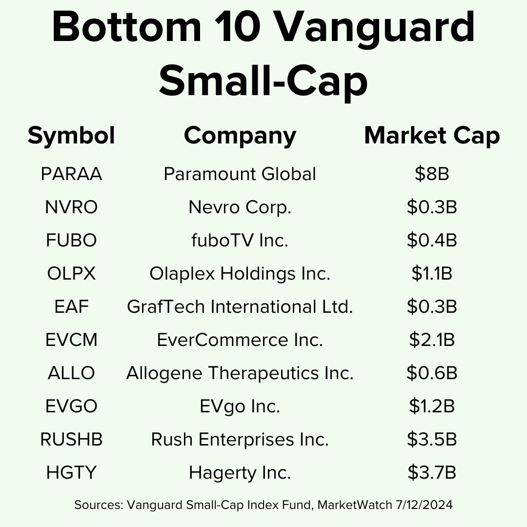 Title 'Bottom 10 Vanguard Small-Cap' on top. The table includes the symbol, name, and market cap for ten companies. Included are Paramount Global, Nevro, and fuboTV.