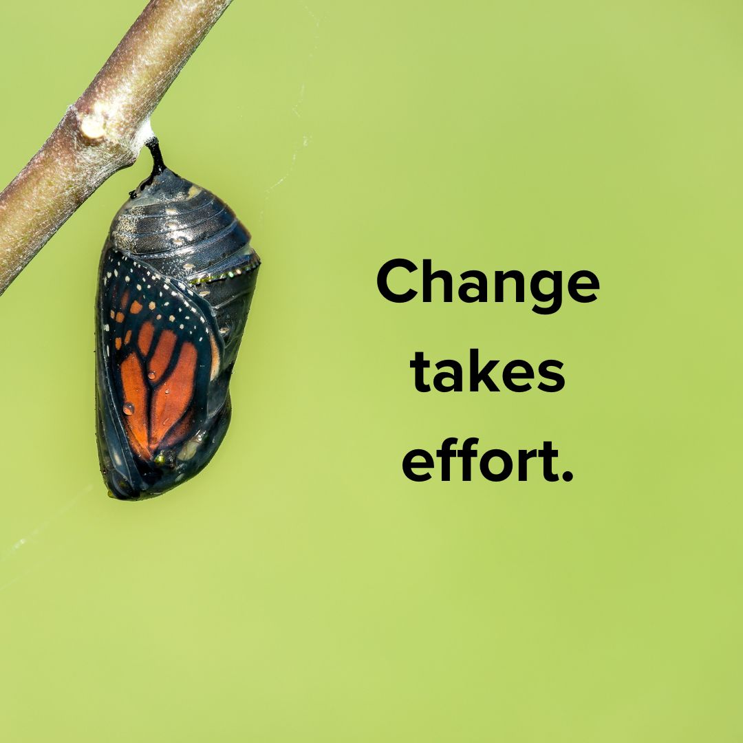 Title 'Change takes effort.' in black on the right. To the left is a butterfly in a chrysalis.