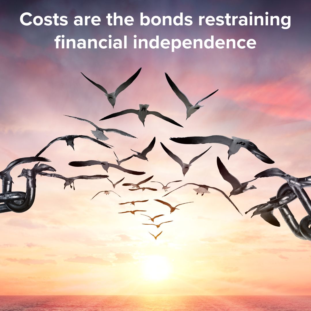 Chains turning into seagulls heading to a sunset. Words in white at the top say "Costs are the bonds restraining financial independence.