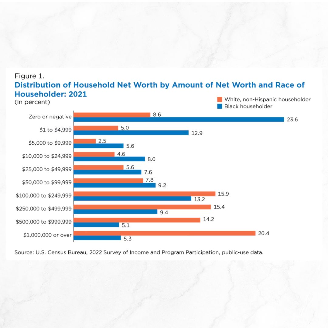 Title 'Distribution of Household Net Worth by Amount of Net Worth and Race of Householder: 2021' It's a horizontal bar chart with white, non-Hispanic householder and black householder. The white bars are higher wealth than the black ones.
