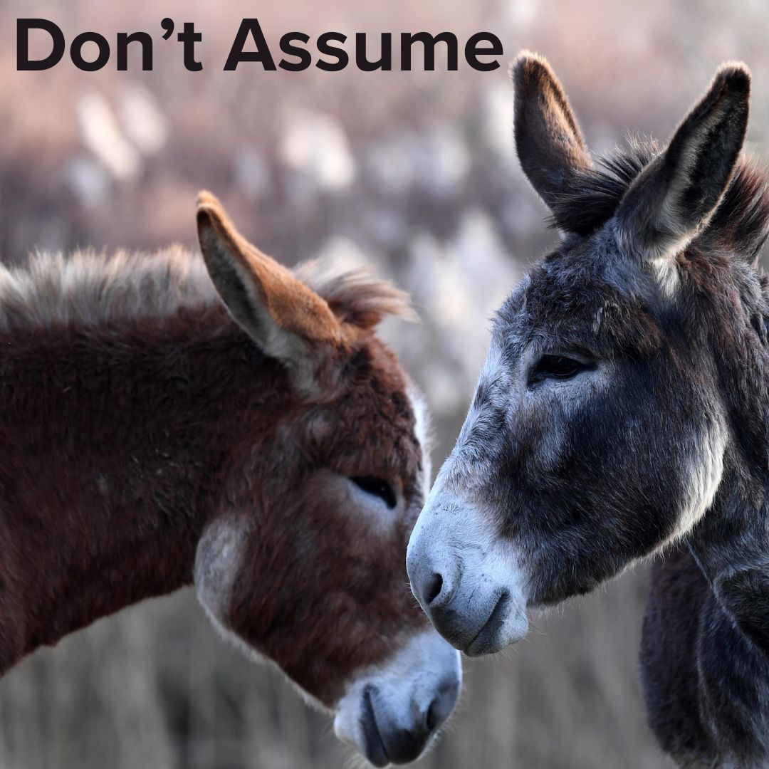 Two donkeys in the snow. The title at the top says 'Don't Assume'