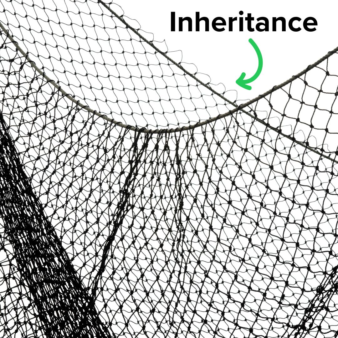 Title 'Inheritance' on top. Photo of a safety net. A green arrow points from 'Inheritance' to the safety net.