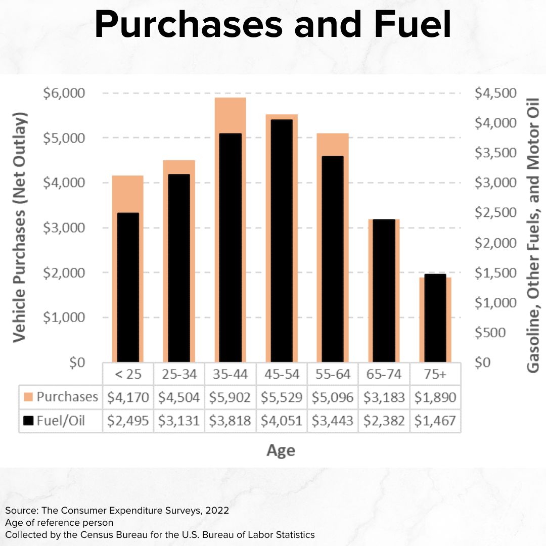 Title 'Purchases and Fuel' on top. A vertical bar chart has Age on the x-axis, Vehicle Purchases (Net Outlay) on the left y-axis, and Gasoline, Other Fuels, and Motor Oil on the right y-axis. Both categories rise until age 35-54 and then fall.