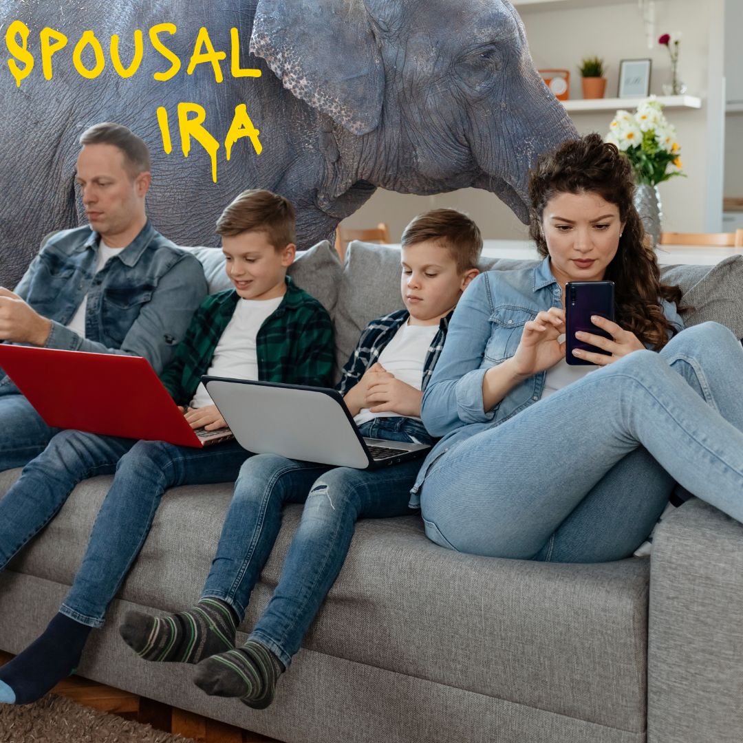 Ignoring the Spousal IRA?