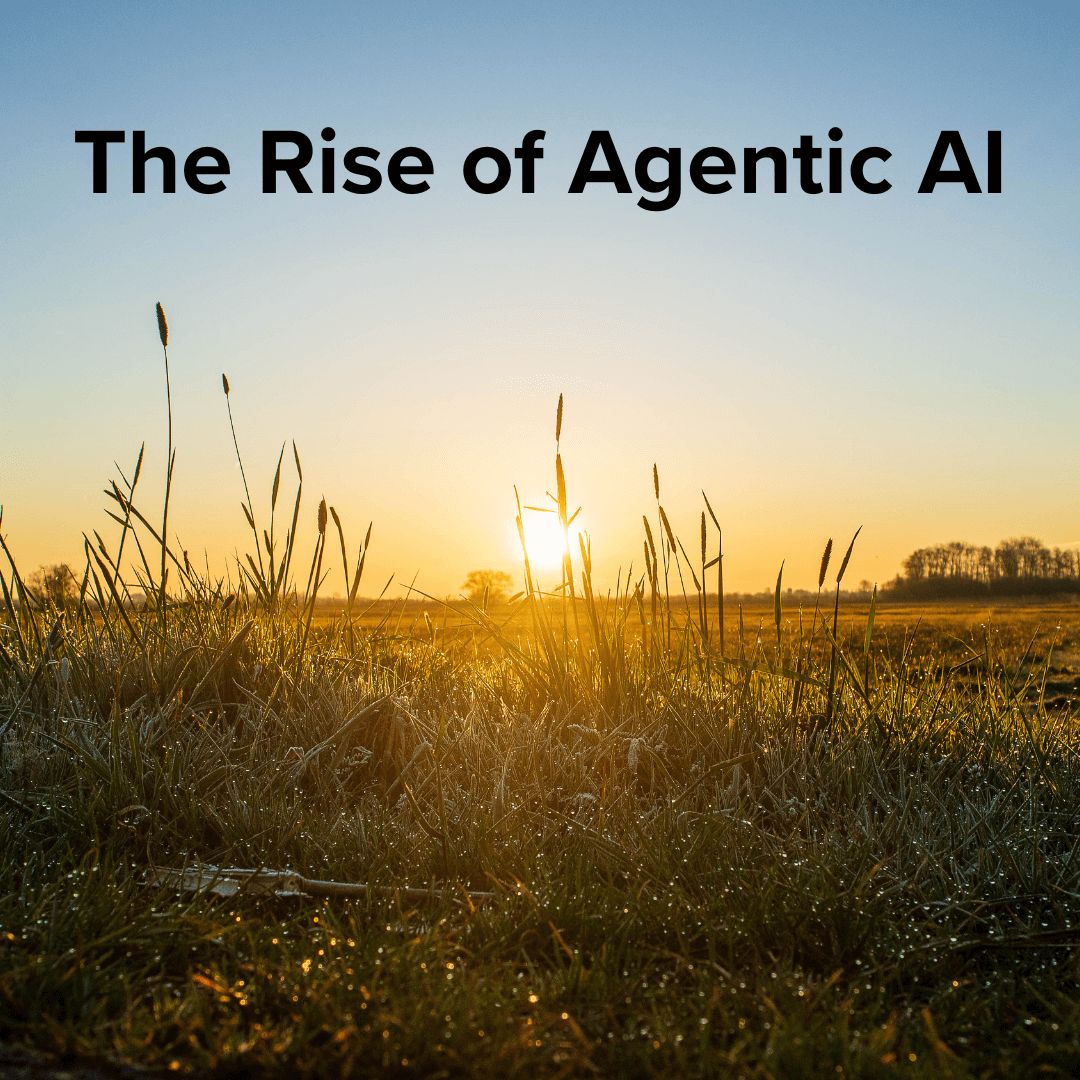 The Rise of Agentic AI