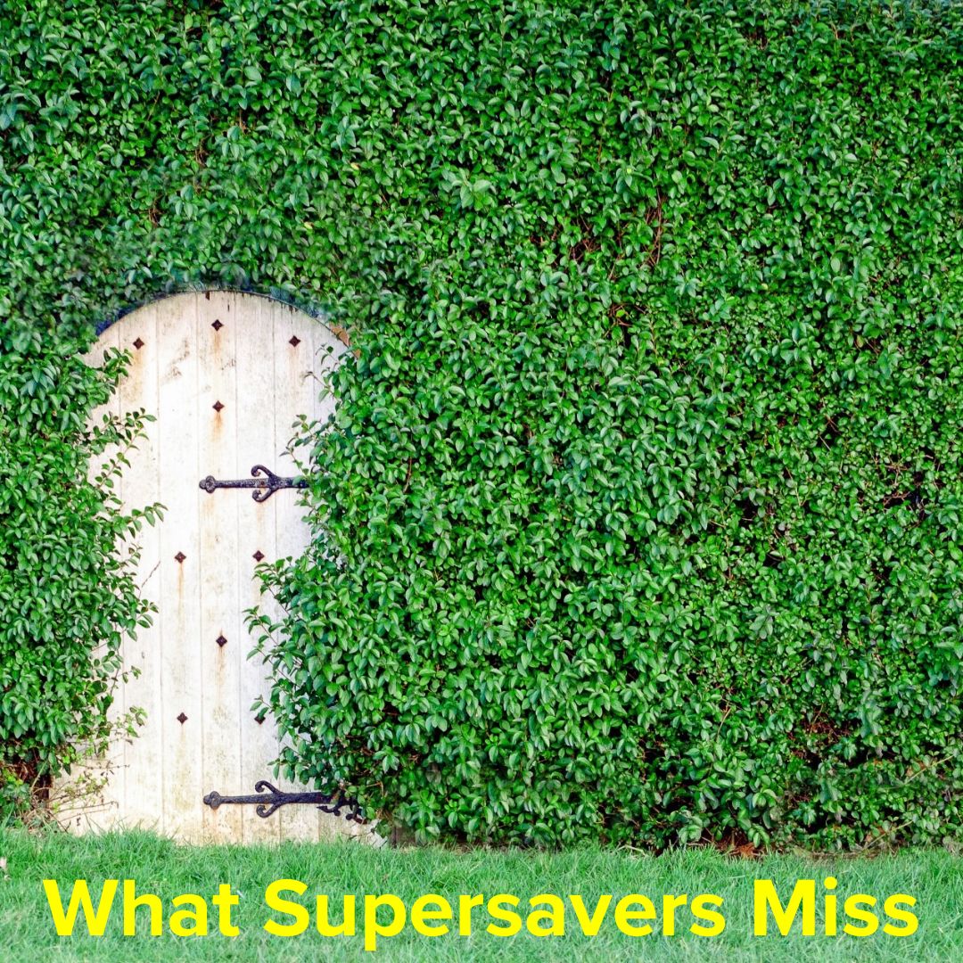 What Supersavers Miss