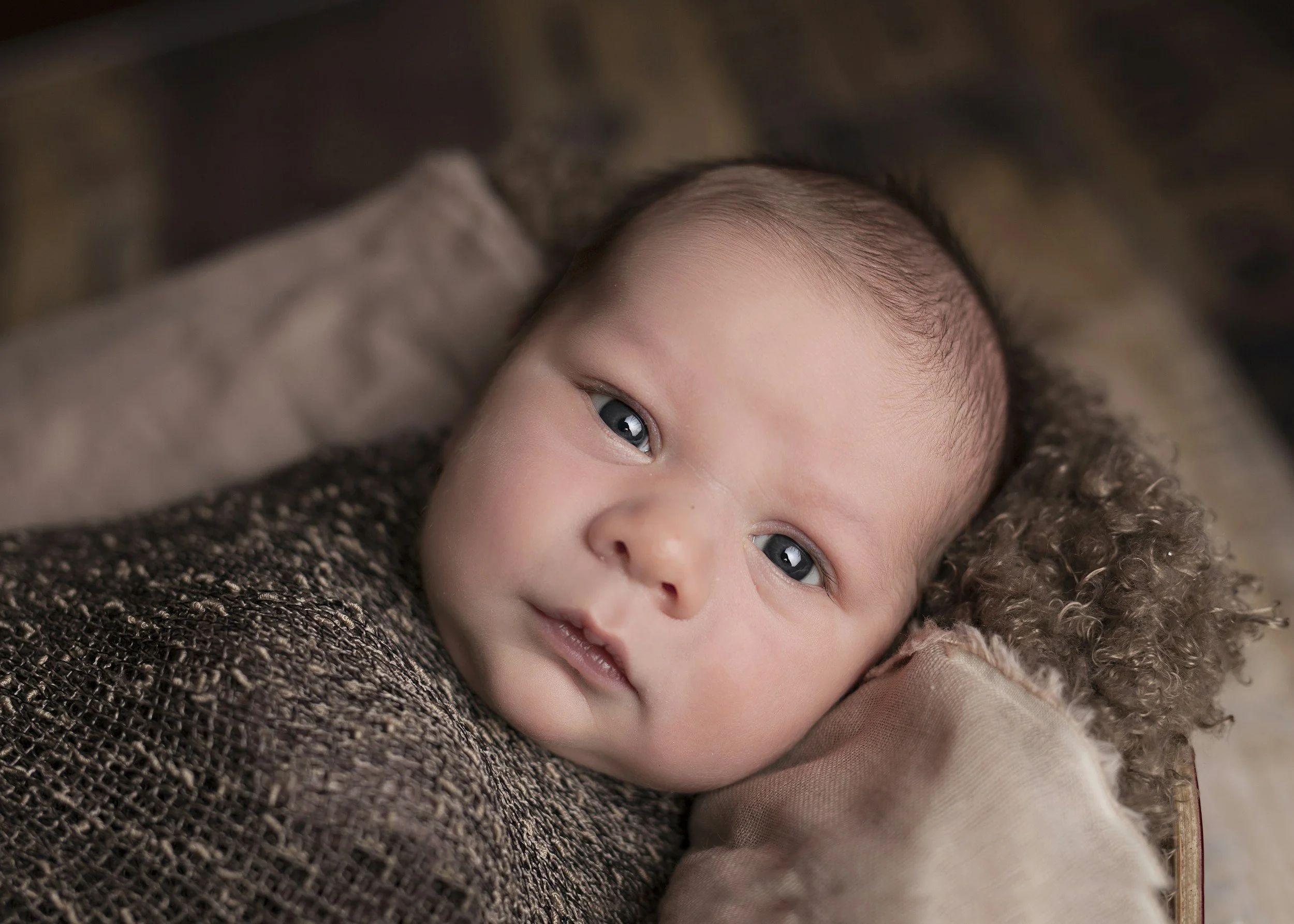 Photo of a baby in a dark gray blanket lying down and staring at the camera.