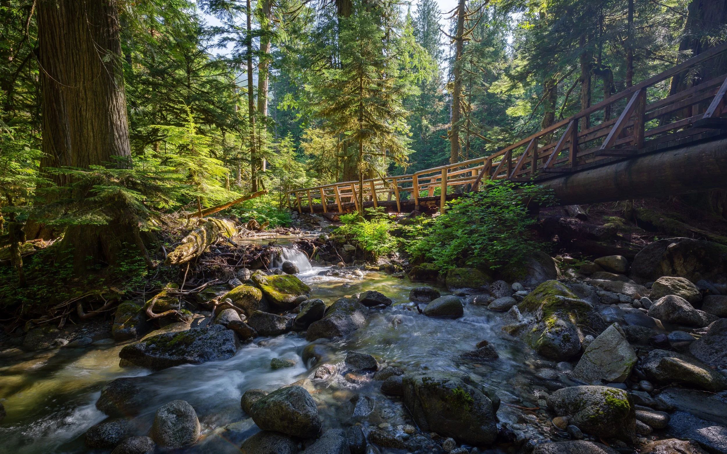 Sunny image of a large stream flowing toward the camera. A wooden pedestrian bridge crosses the stream. Behind it are many evergreen trees. Pieces of a bright blue sky are visible between the trees.