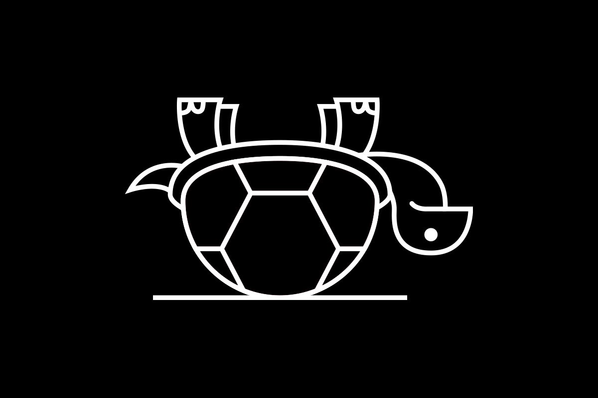 Turn the turtle